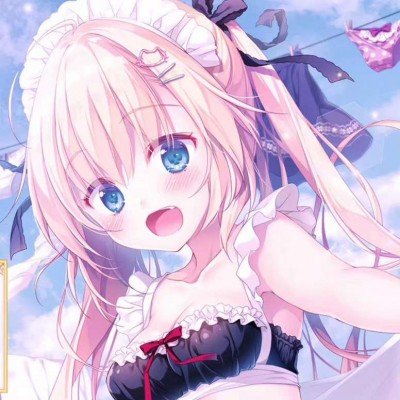 网友曝三亚4只皮皮虾收费1035元